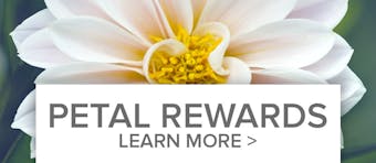 Petal Points Loyalty Reward Program