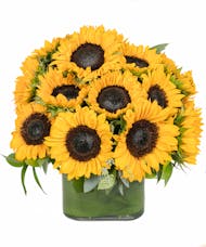 Sunflower Cube