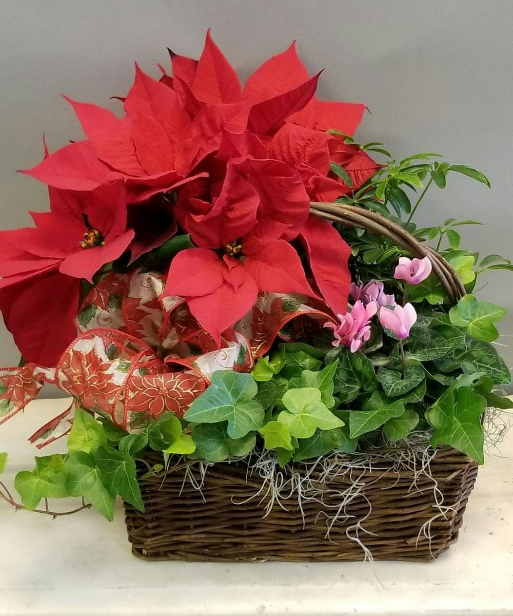 Holiday Basket
