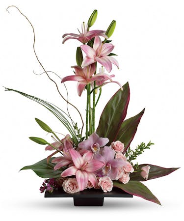 Imagination Blooms With Cymbidium Orchids