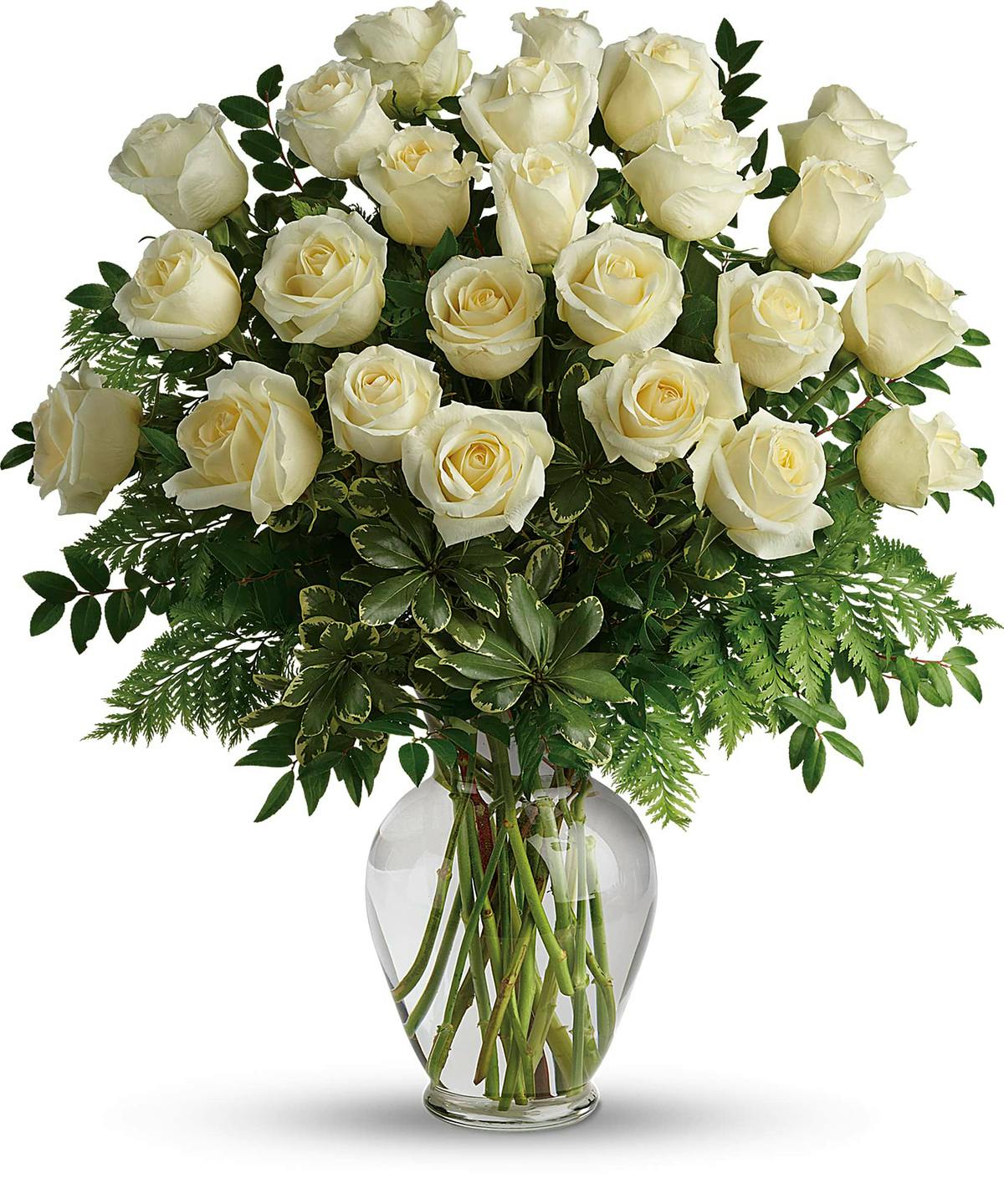 Long Stem White Roses Portsmouth NH Same Day Flower Delivery