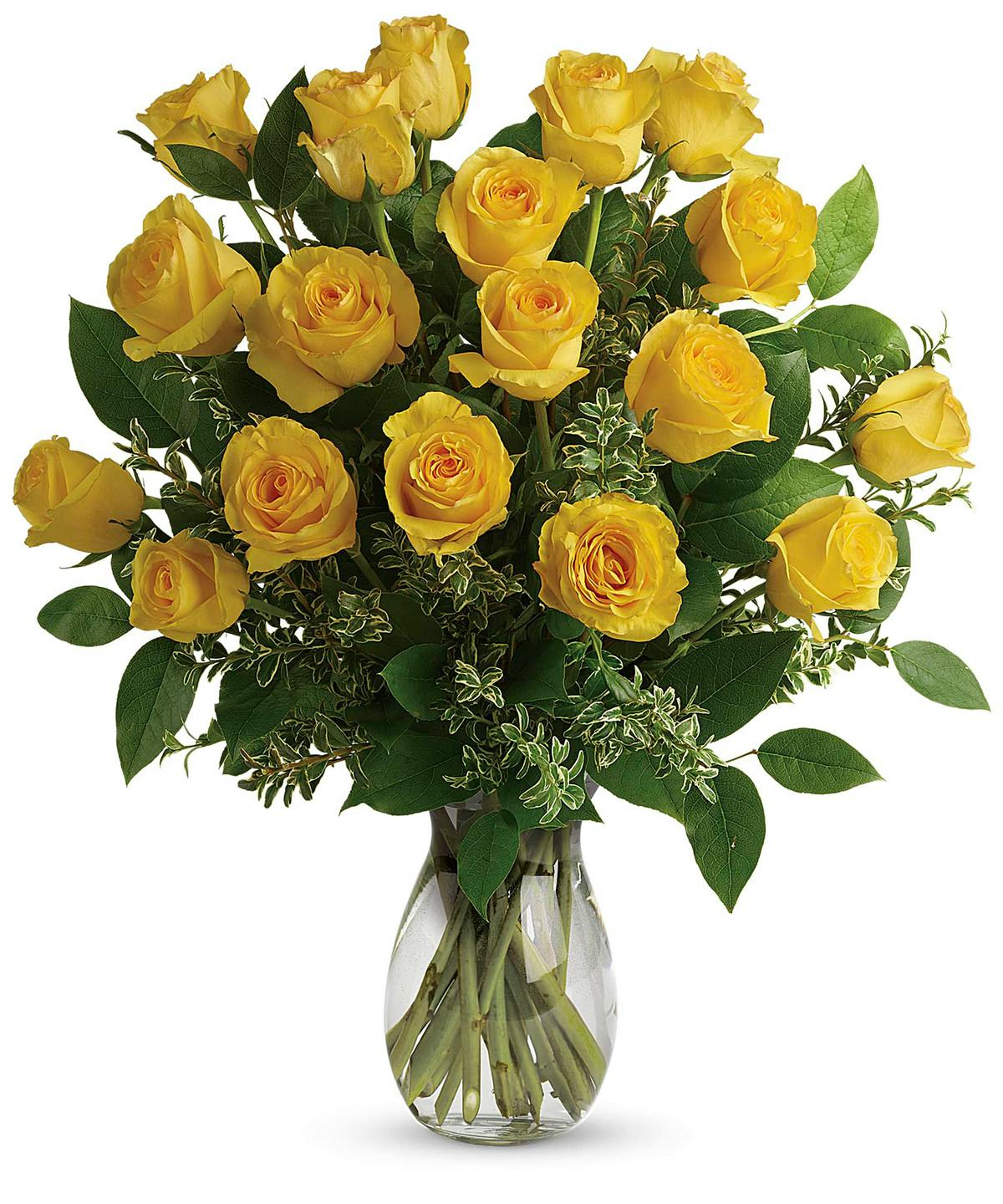 Long Stem Yellow Roses | Same-Day Portsmouth NH Flower ...