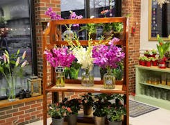 Gorgeous flower and plant arrangements in a wide range of pots and baskets